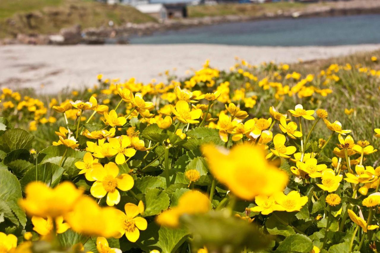 Cosy Apartment Near Beach, Marina & City Centre Tórshavn Eksteriør billede